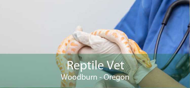 Reptile Vet Woodburn - Oregon
