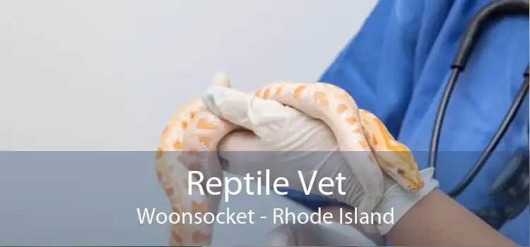 Reptile Vet Woonsocket - Rhode Island