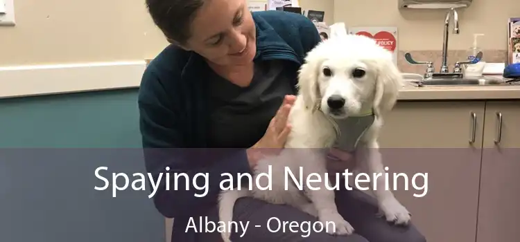 Spaying and Neutering Albany - Oregon