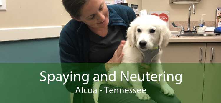 Spaying and Neutering Alcoa - Tennessee