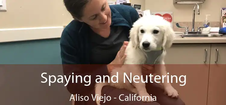 Spaying and Neutering Aliso Viejo - California