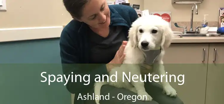 Spaying and Neutering Ashland - Oregon