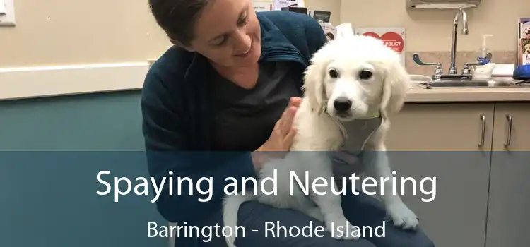 Spaying and Neutering Barrington - Rhode Island