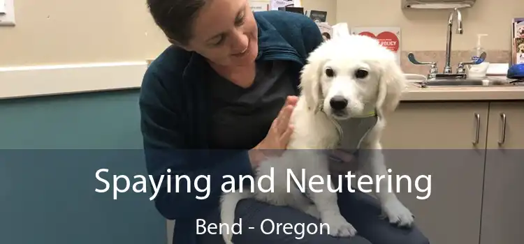 Spaying and Neutering Bend - Oregon