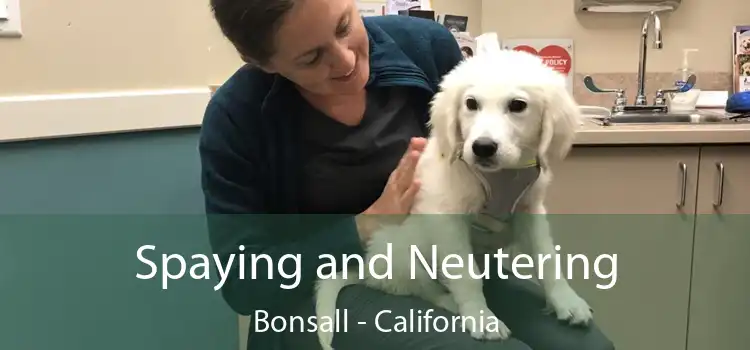 Spaying and Neutering Bonsall - California