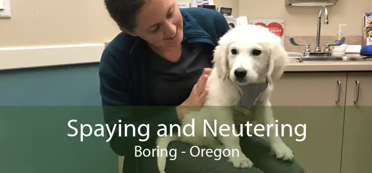 Spaying and Neutering Boring - Oregon