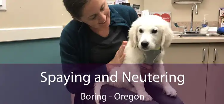 Spaying and Neutering Boring - Oregon