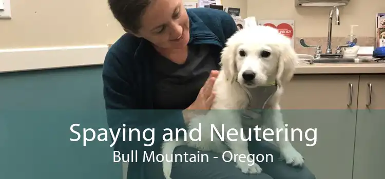 Spaying and Neutering Bull Mountain - Oregon