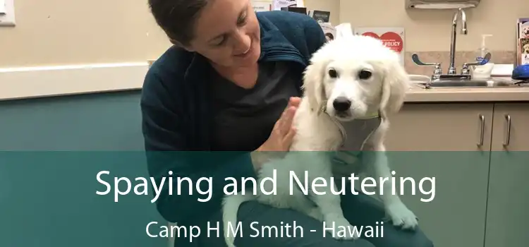 Spaying and Neutering Camp H M Smith - Hawaii