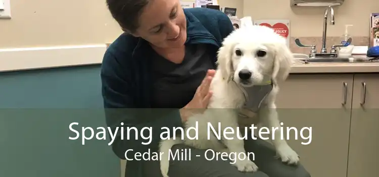 Spaying and Neutering Cedar Mill - Oregon