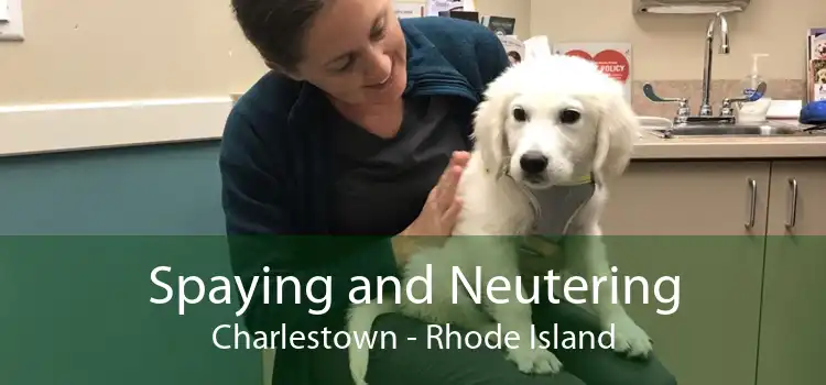 Spaying and Neutering Charlestown - Rhode Island