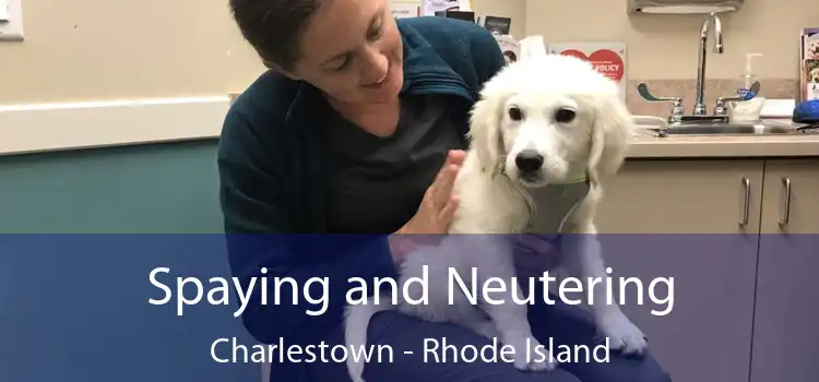 Spaying and Neutering Charlestown - Rhode Island