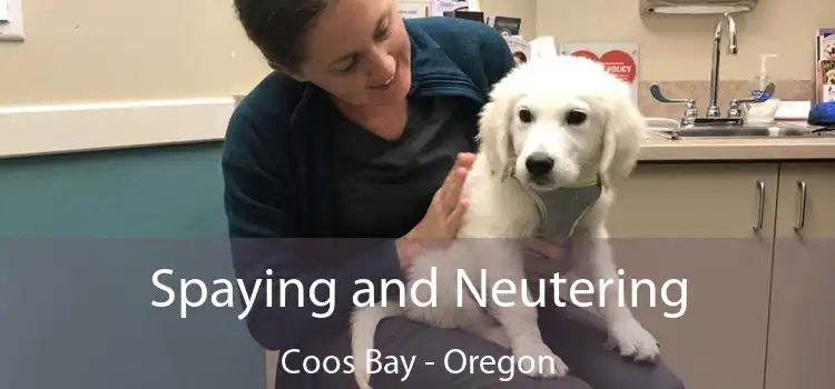 Spaying and Neutering Coos Bay - Oregon