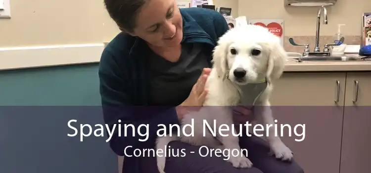 Spaying and Neutering Cornelius - Oregon