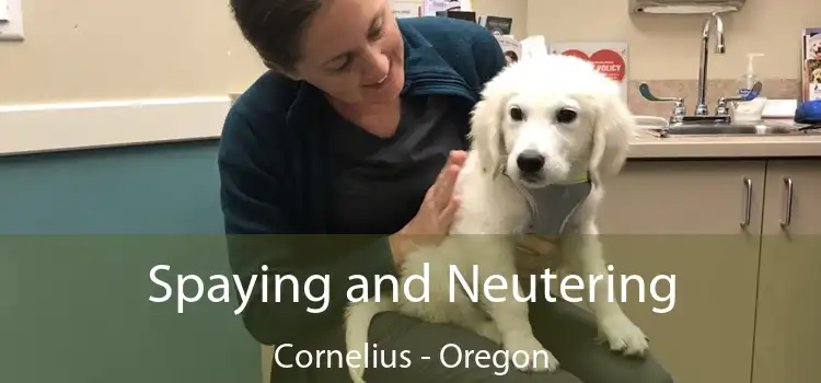 Spaying and Neutering Cornelius - Oregon