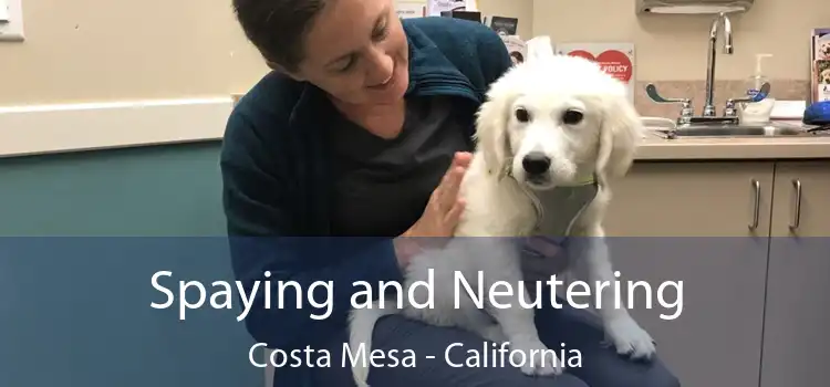 Spaying and Neutering Costa Mesa - California