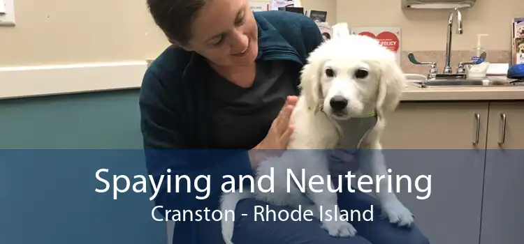 Spaying and Neutering Cranston - Rhode Island