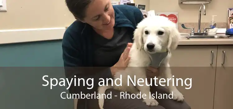 Spaying and Neutering Cumberland - Rhode Island