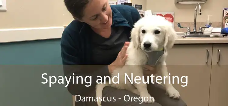 Spaying and Neutering Damascus - Oregon