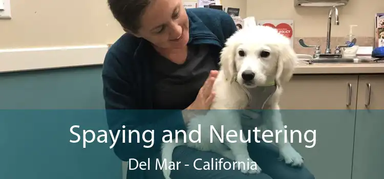 Spaying and Neutering Del Mar - California