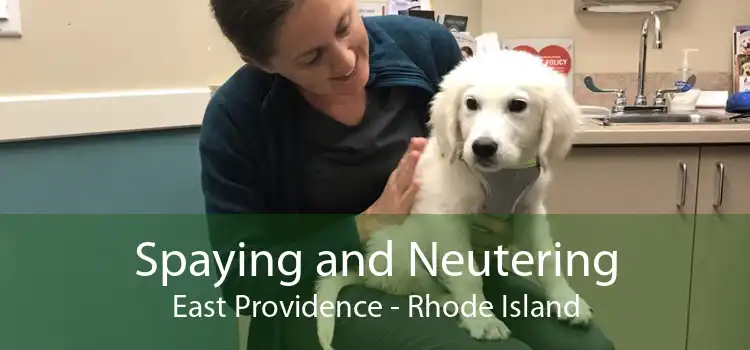 Spaying and Neutering East Providence - Rhode Island