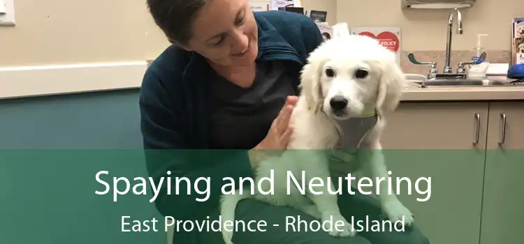 Spaying and Neutering East Providence - Rhode Island