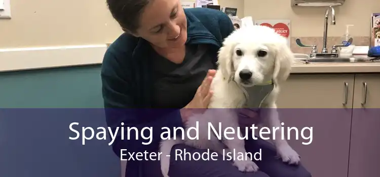 Spaying and Neutering Exeter - Rhode Island