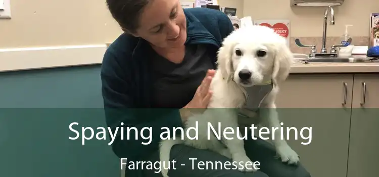 Spaying and Neutering Farragut - Tennessee