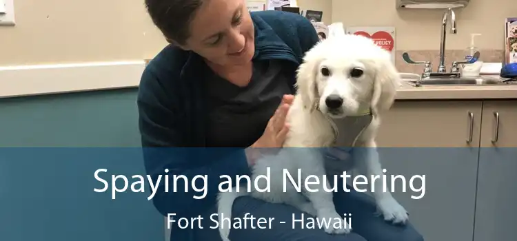 Spaying and Neutering Fort Shafter - Hawaii