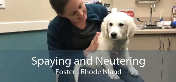 Spaying and Neutering Foster - Rhode Island