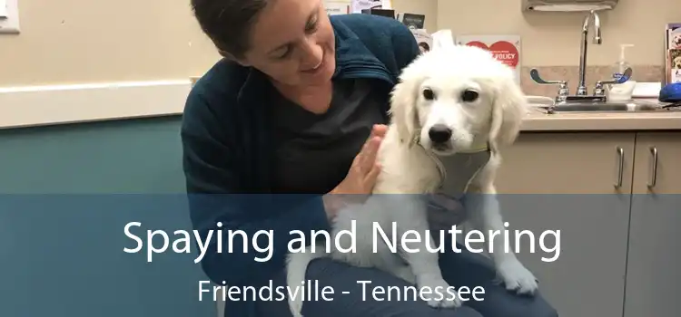 Spaying and Neutering Friendsville - Tennessee