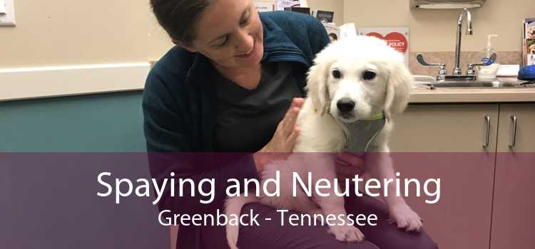 Spaying and Neutering Greenback - Tennessee