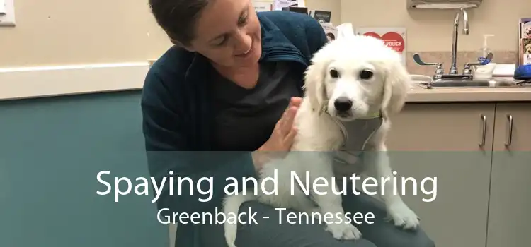 Spaying and Neutering Greenback - Tennessee