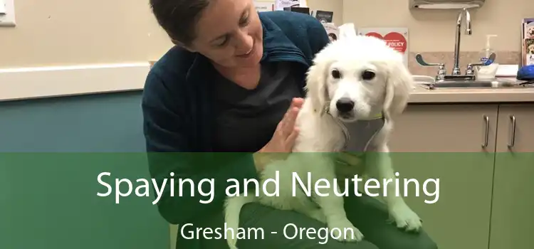 Spaying and Neutering Gresham - Oregon