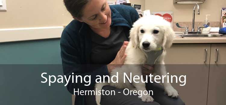 Spaying and Neutering Hermiston - Oregon