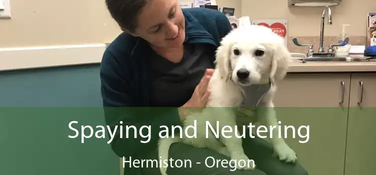 Spaying and Neutering Hermiston - Oregon