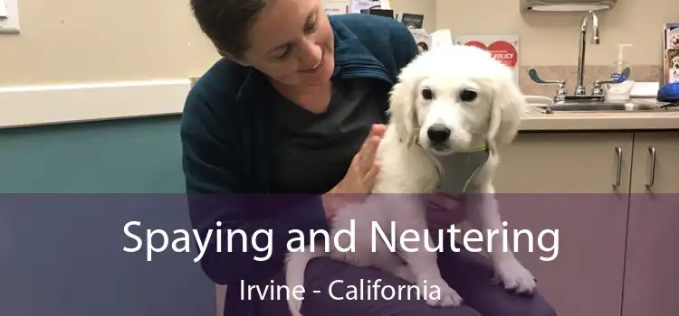 Spaying and Neutering Irvine - California