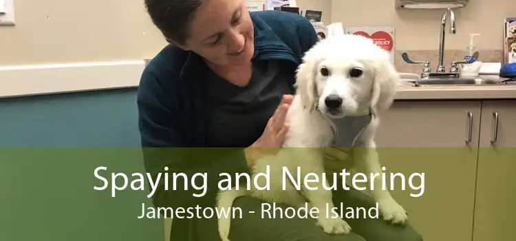 Spaying and Neutering Jamestown - Rhode Island