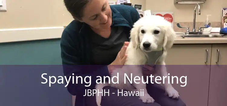 Spaying and Neutering JBPHH - Hawaii