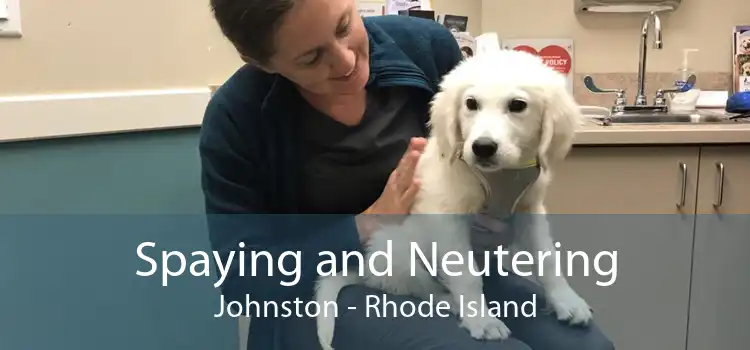 Spaying and Neutering Johnston - Rhode Island
