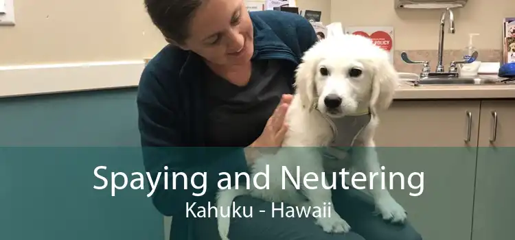 Spaying and Neutering Kahuku - Hawaii
