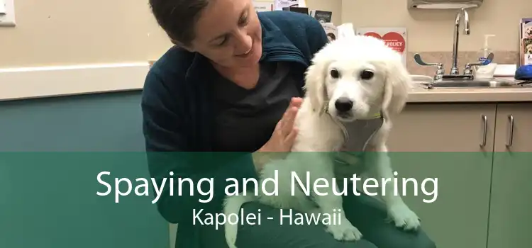 Spaying and Neutering Kapolei - Hawaii