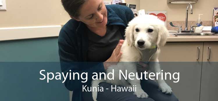 Spaying and Neutering Kunia - Hawaii