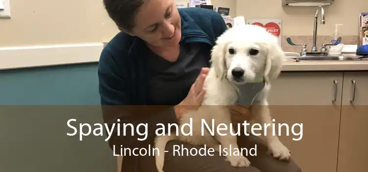 Spaying and Neutering Lincoln - Rhode Island