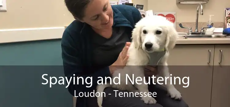 Spaying and Neutering Loudon - Tennessee