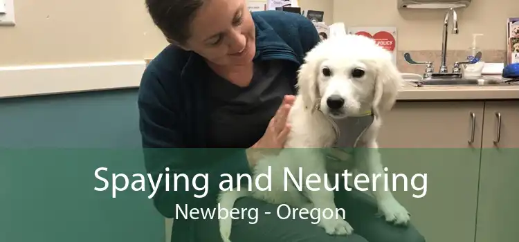 Spaying and Neutering Newberg - Oregon