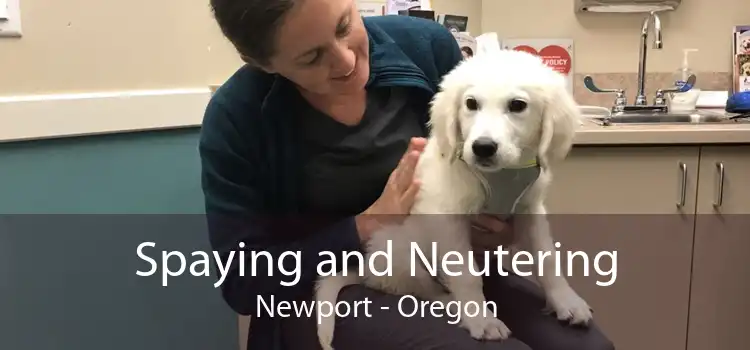 Spaying and Neutering Newport - Oregon