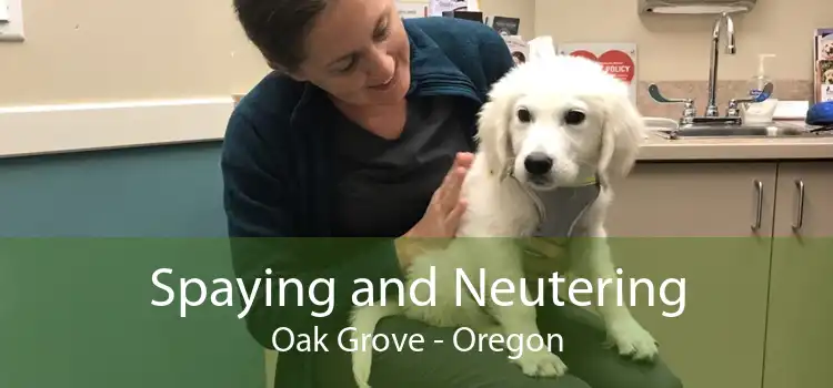 Spaying and Neutering Oak Grove - Oregon