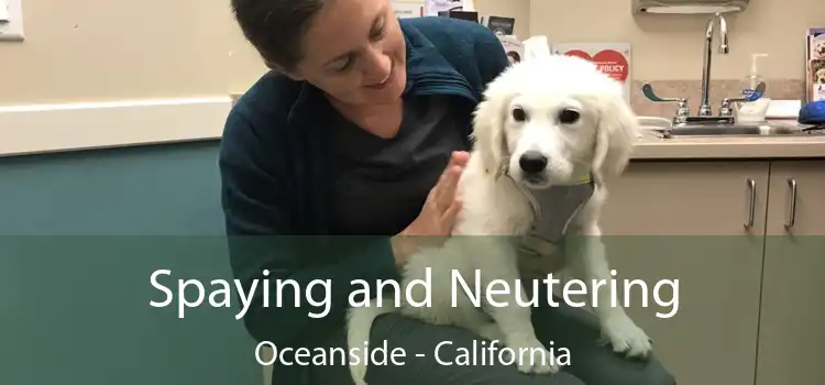 Spaying and Neutering Oceanside - California