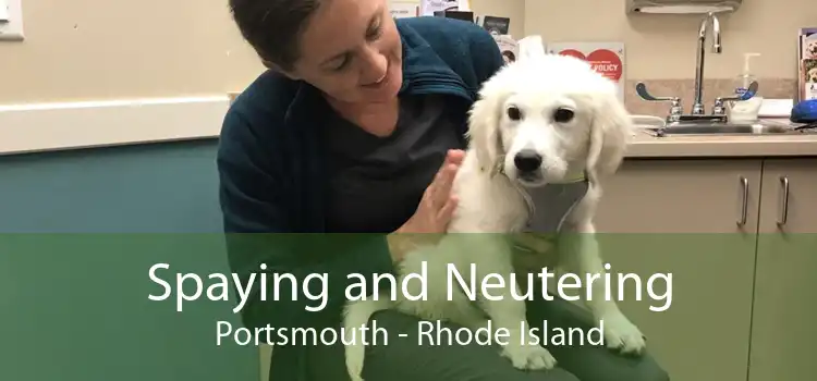 Spaying and Neutering Portsmouth - Rhode Island